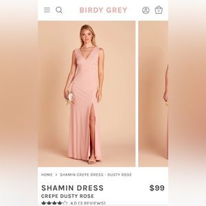 Birdy Grey SHAMIN DRESS Dusty Rose